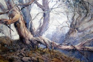 Snowgums